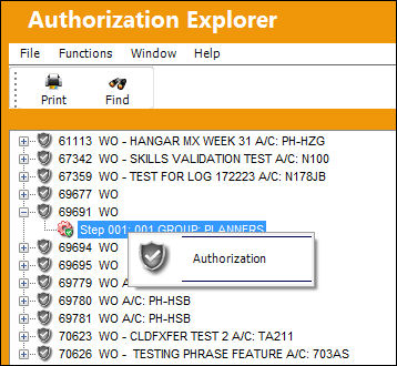 WO_Authorization_Explorer_2