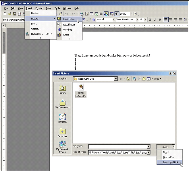 TD_TraxDoc Master_File Manager Tab_Embedding_3
