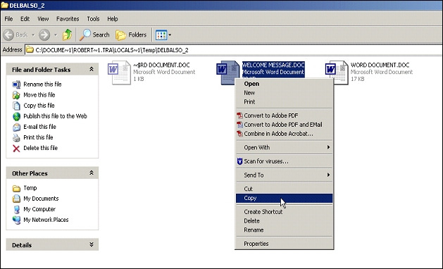 TD_TraxDoc Master_File Manager Tab_Embedding_6