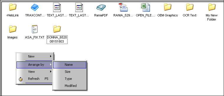 TRAXDOC_arrange_by_name1.jpg