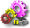 PN_Icon