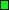 Long_Term_4