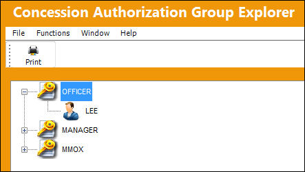 Concession_Authorization_Group_5