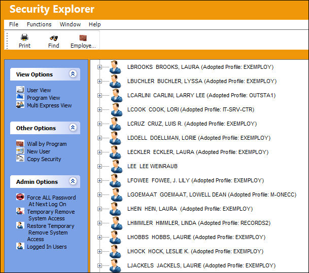 Restore_Temporary_Security_Access_2